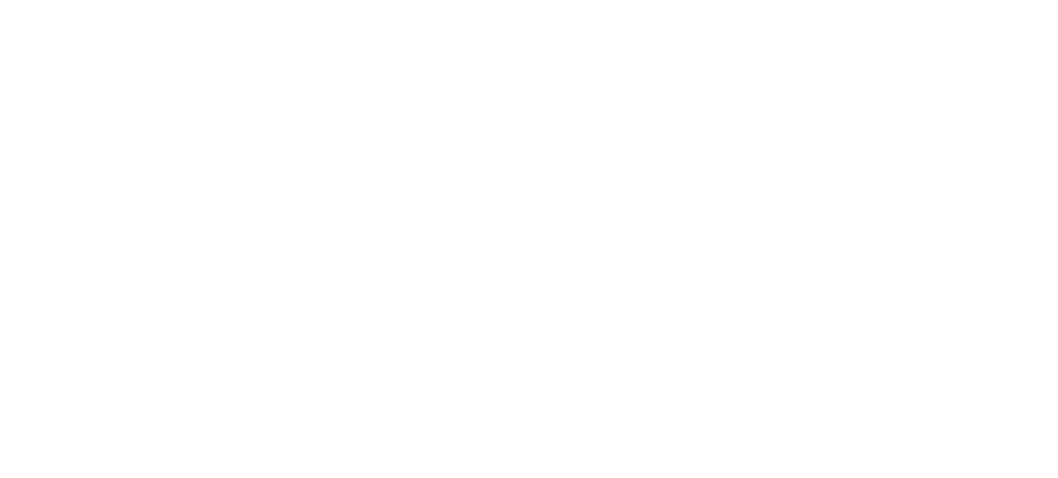 Bindi